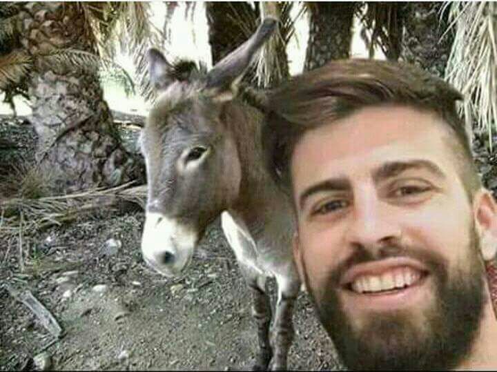 Piqué conociendo la cultura del sexo con las burras.