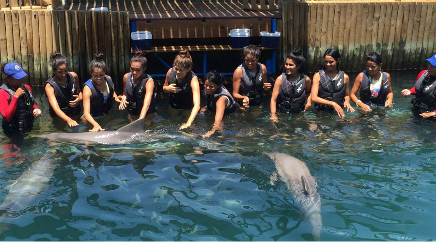 Las 11 capitanas populares interactuaron con los delfines.