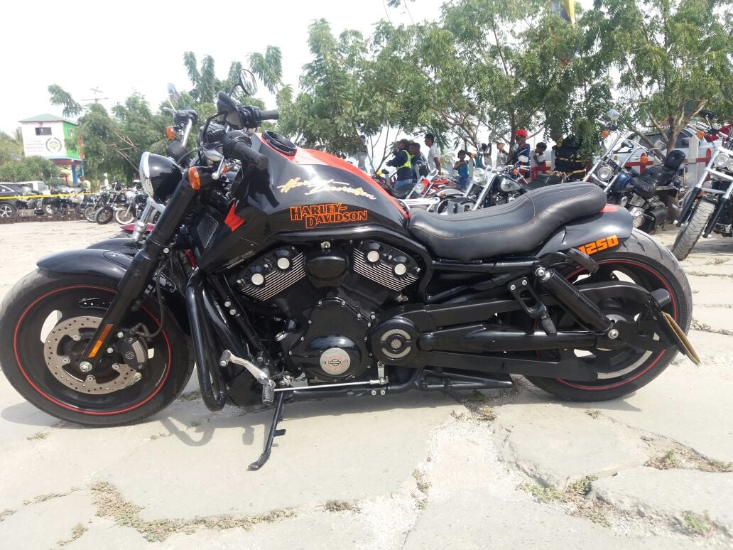 Cientos de motos Harley Davidson se pudieron apreciar en el evento. 