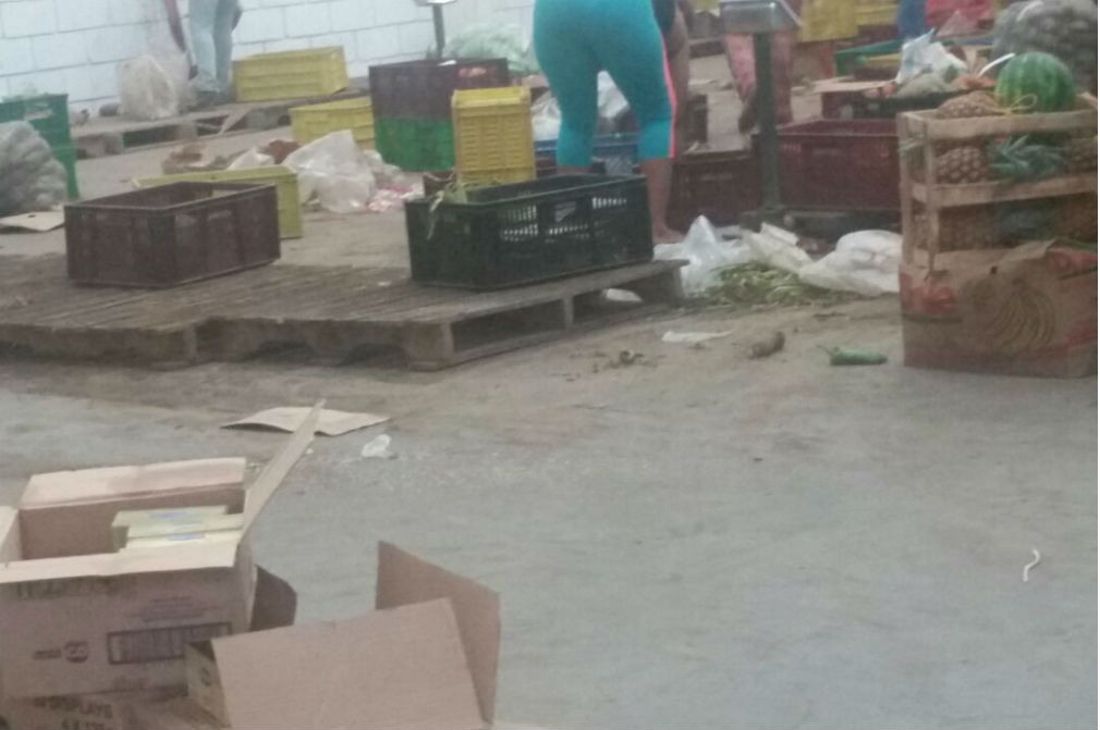 Las bodegas donde se almacenan los alimentos que surten los colegios muestran un alto grado de suciedad, exponiendo la comida a contaminación.