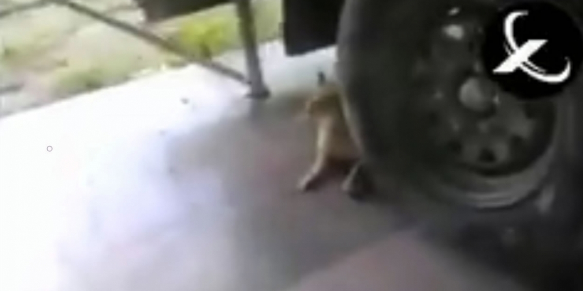 Zona Cero Captura de video