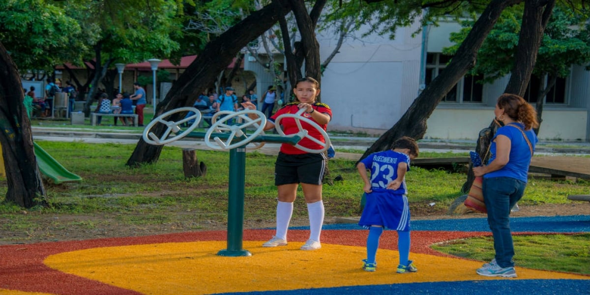 En total los parques están dotados con 29 máquinas como elíptica, surf, columpio, ascensor, patín, pectoral, cintura, pony, barras paralelas, volante y timón. Además la comunidad académica podrá contar con instructores de fitnes, para la práctica sana del deporte.  