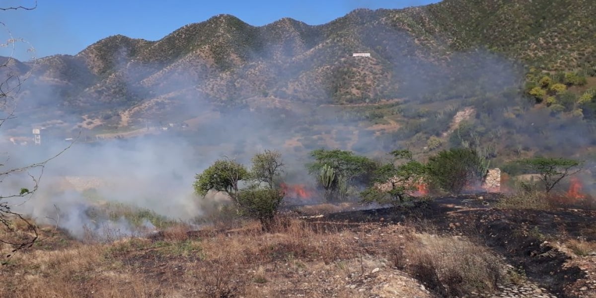 Debido a las fuertes brisas el incendio logró propagarse con rapidez dificultando las labores de supresión.