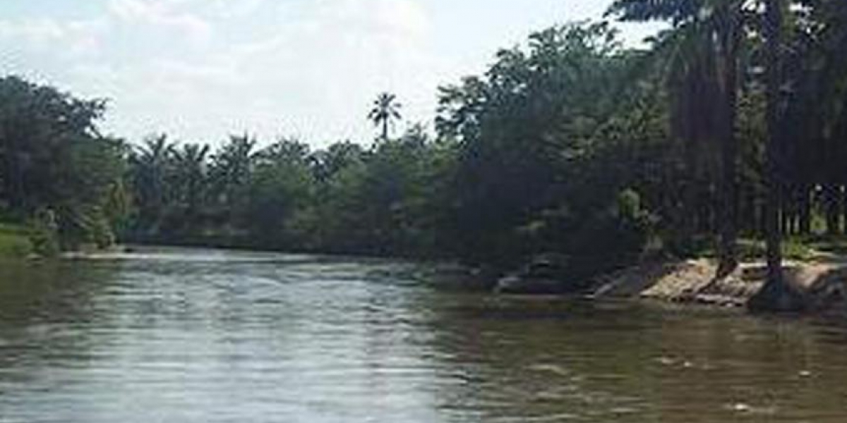 El Heraldo Río San Sebastián.