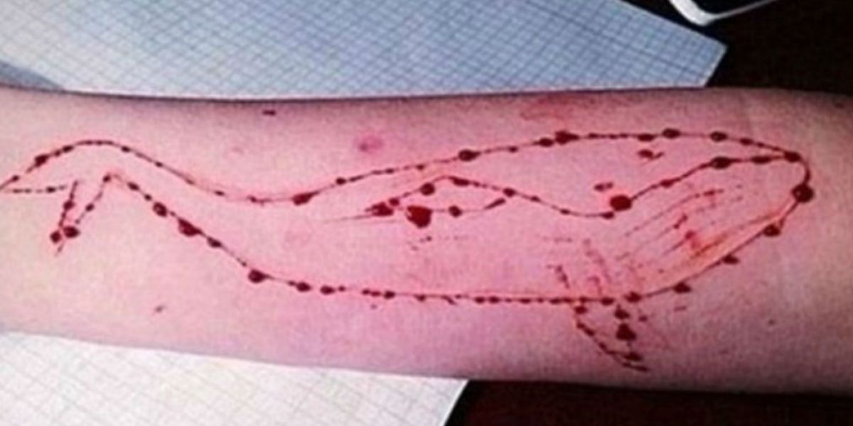 El juego suicida tiene alertado a las autoridades de varios países. 