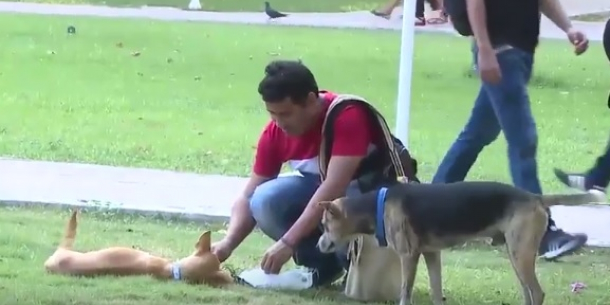 Universidad del Magdalena Miembro de los Guardianes Caninos alimentando a uno de las mascotas de la Universidad.