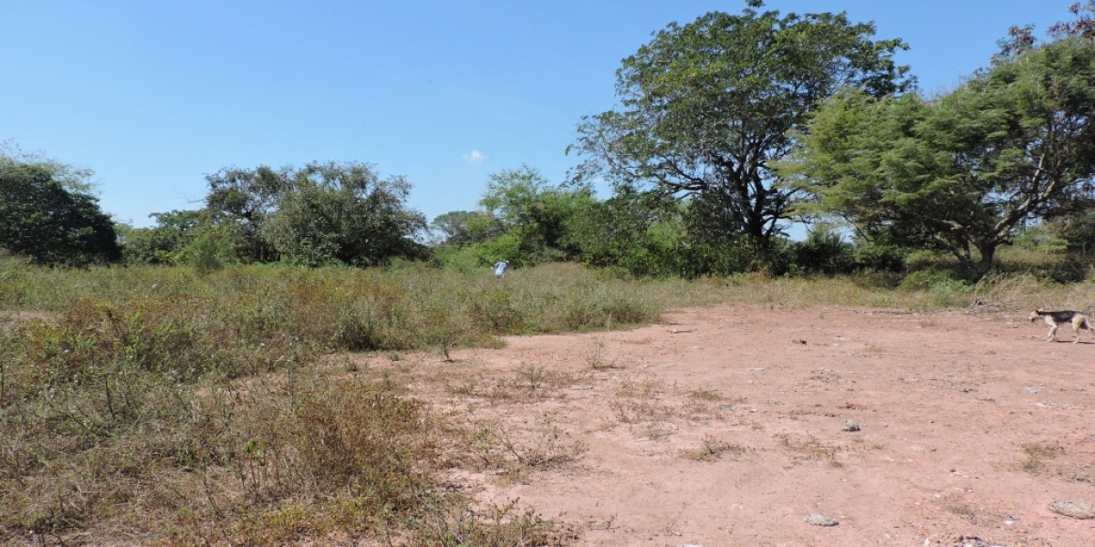 Este es el terreno donde se construiría la sede sur de Unimagdalena en El Banco.