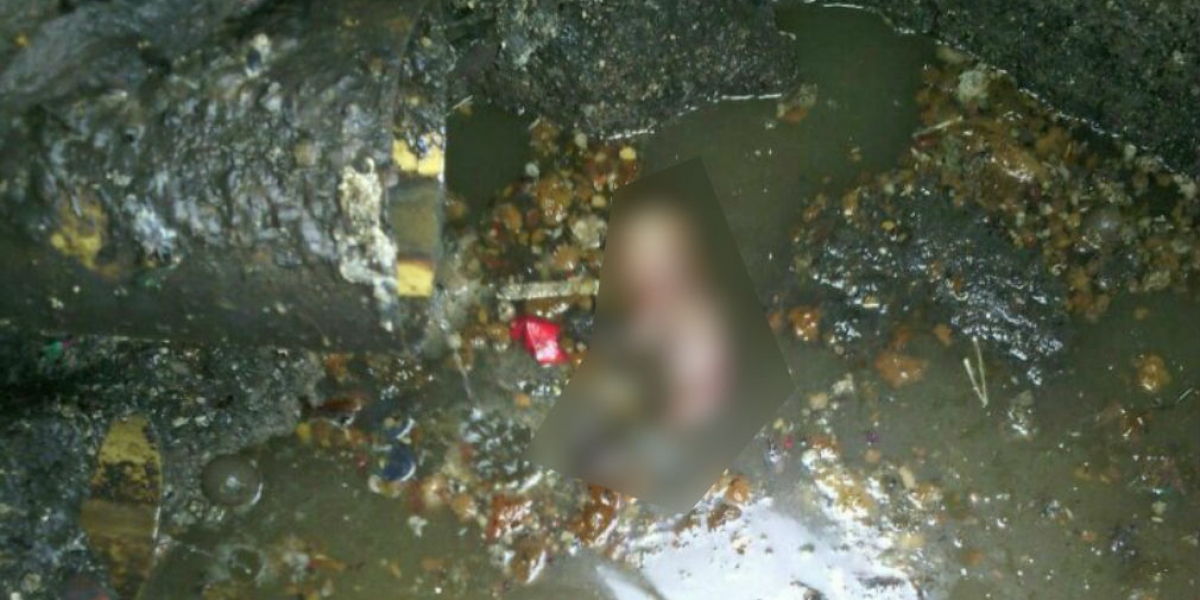 Cortesía El feto apareció en la alcantarilla en el barrio Galicia.