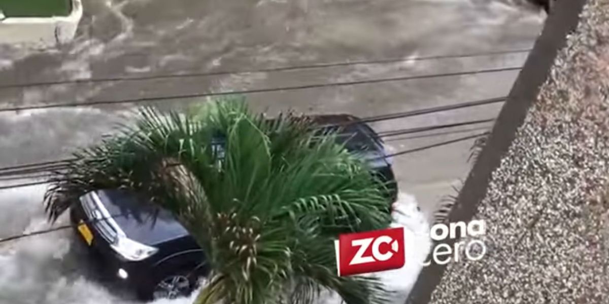 Zona Cero En el video se puede evidenciar el fuerte arroyo.