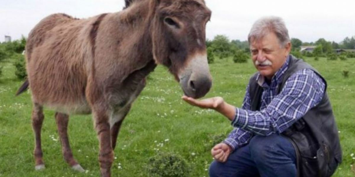 Archivo particular. La poca producción de leche de este animal es lo que hace el queso más costoso.