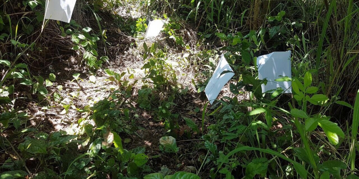 Foto: Ejército. Los artefactos explosivos de alto poder fueron encontrados en la vereda Mochila Baja, municipio de Chiriguaná.