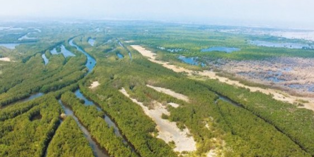 Foto: elespectador.com La Ciénaga Grande, es la laguna costera más grande de toda la cuenca del Caribe, con sus 500.000 hectáreas.