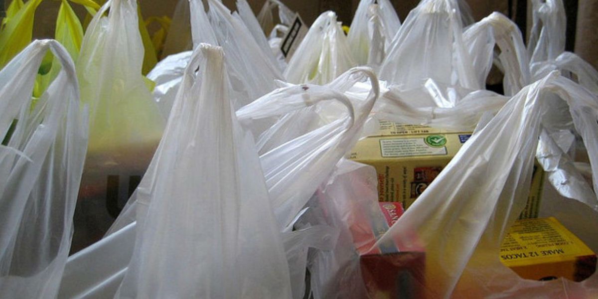 Foto: cdn3.uvnimg.com Un colombiano usa 6 bolsas semanales, 24 al mes, 288 al año y 22.176 en un promedio de vida de 77 años.