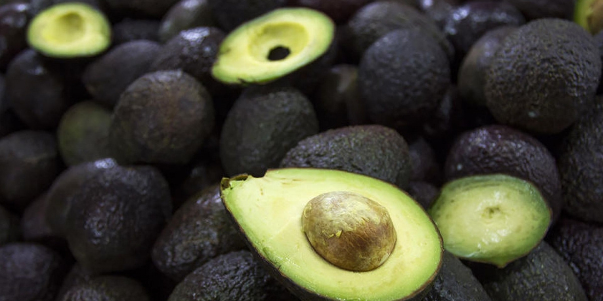 Tomado de OmvRadio Aguacate Hass Colombiano