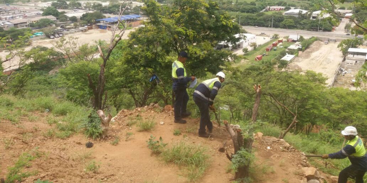 Cortesía. Operativos de recuperación de 400 metros del cerro de ‘La Llorona’ en el sector de la Troncal de Caribe.