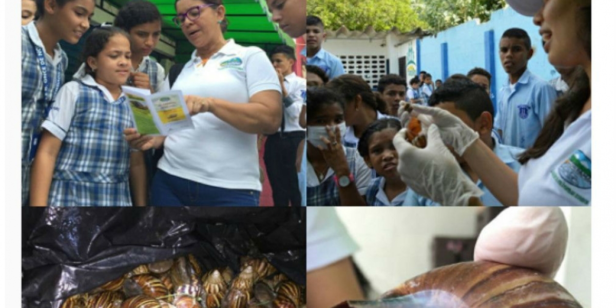 @CORPAMAG Campaña lidera por Corpamag busca evitar que las personas tengan contacto con esta peligrosa especia.