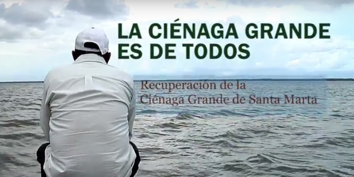 El video busca crear conciencia sobre la Ciénaga Grande de Santa Marta.