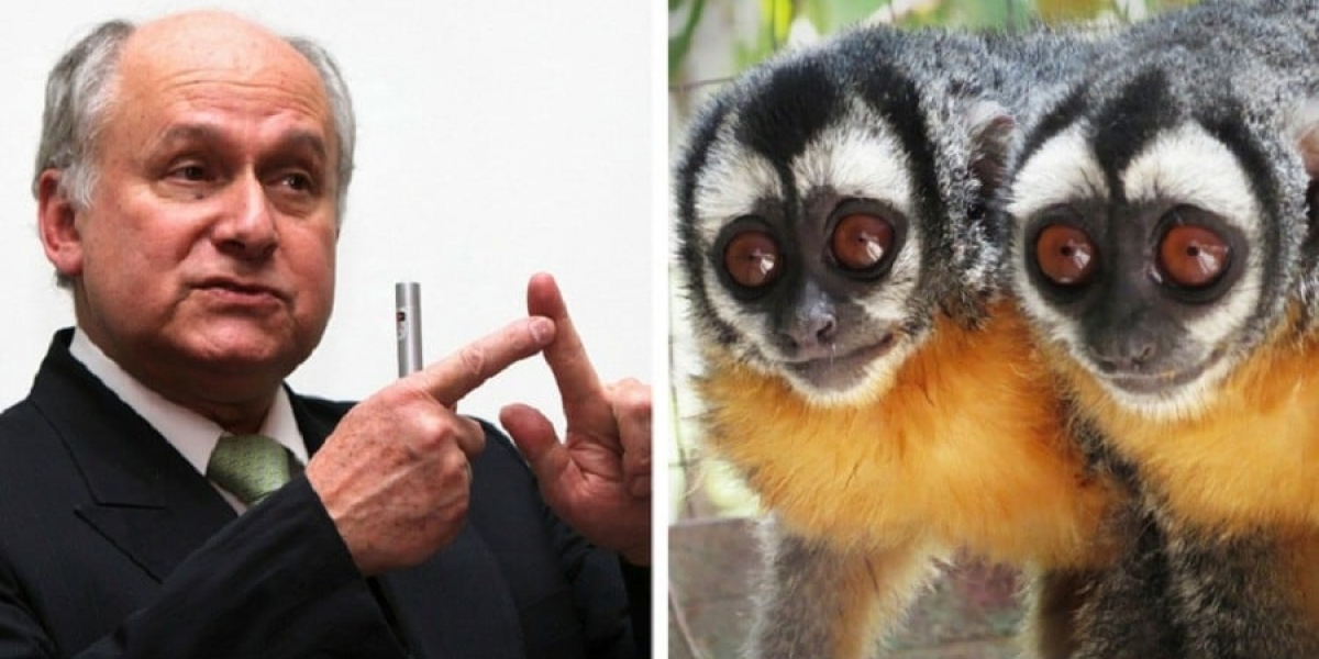 pulzo.com Manuel Elkin Patarroyo y dos ejemplares de monos nocturnos