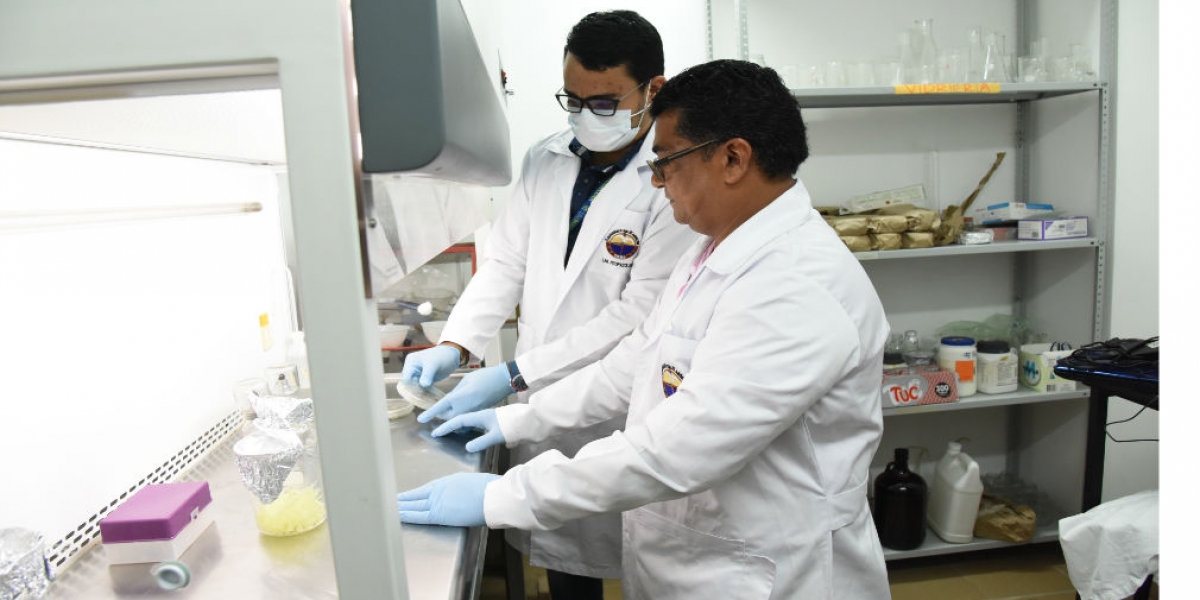Unimagdalena Los investigadores realizaron las pruebas en laboratorio para descubrir el fungicida que ataca la Sigatoka negra.
