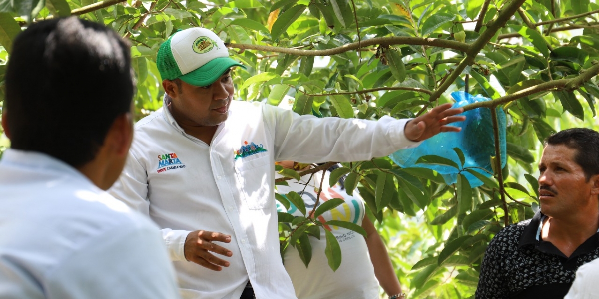 Alcaldía de Santa Marta El subsecretario de Desarollo Rural, Rafael De La Valle, explicó cuáles son los requisitos para acceder a los créditos.