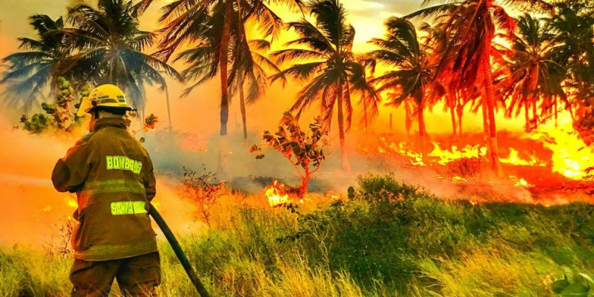 Bomberos de Santa Marta Más de cuatro horas demoró el incendio.