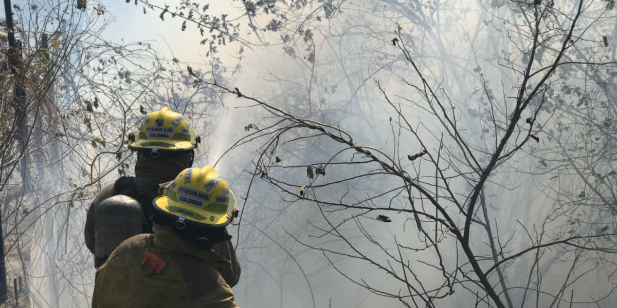 Bomberos de Santa Marta Bomberos atienden la emergencia.