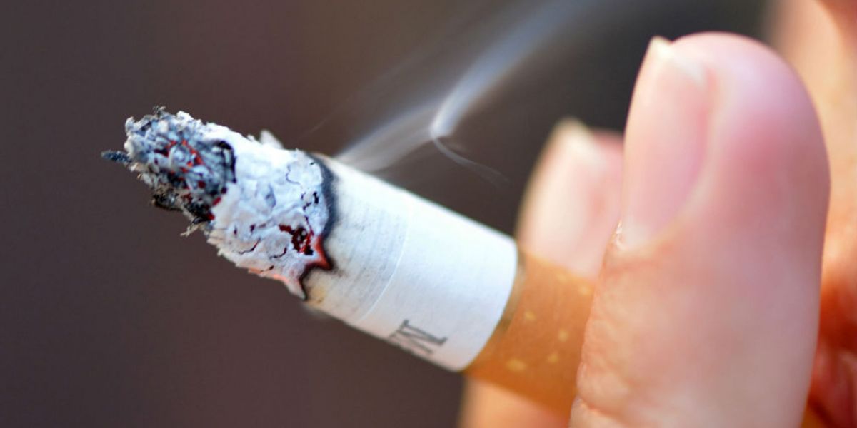 imagen de referencia.