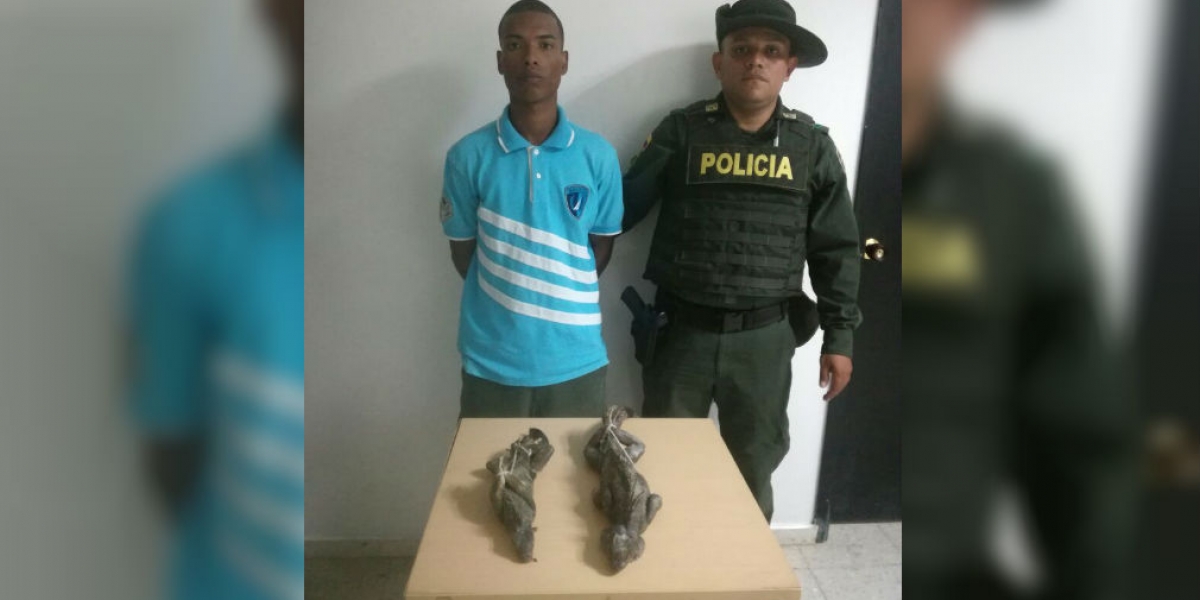 Policía de Santa Marta. Deberá responder por el delito de aprovechamiento ilícito de los recursos naturales.