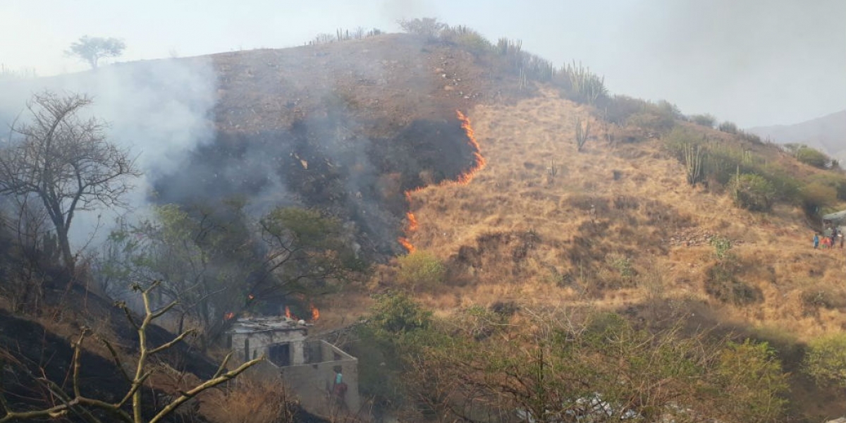Bomberos de Santa Marta. El 2018 ha sido uno de los años con el mayor número de conflagraciones de tipo vegetal.