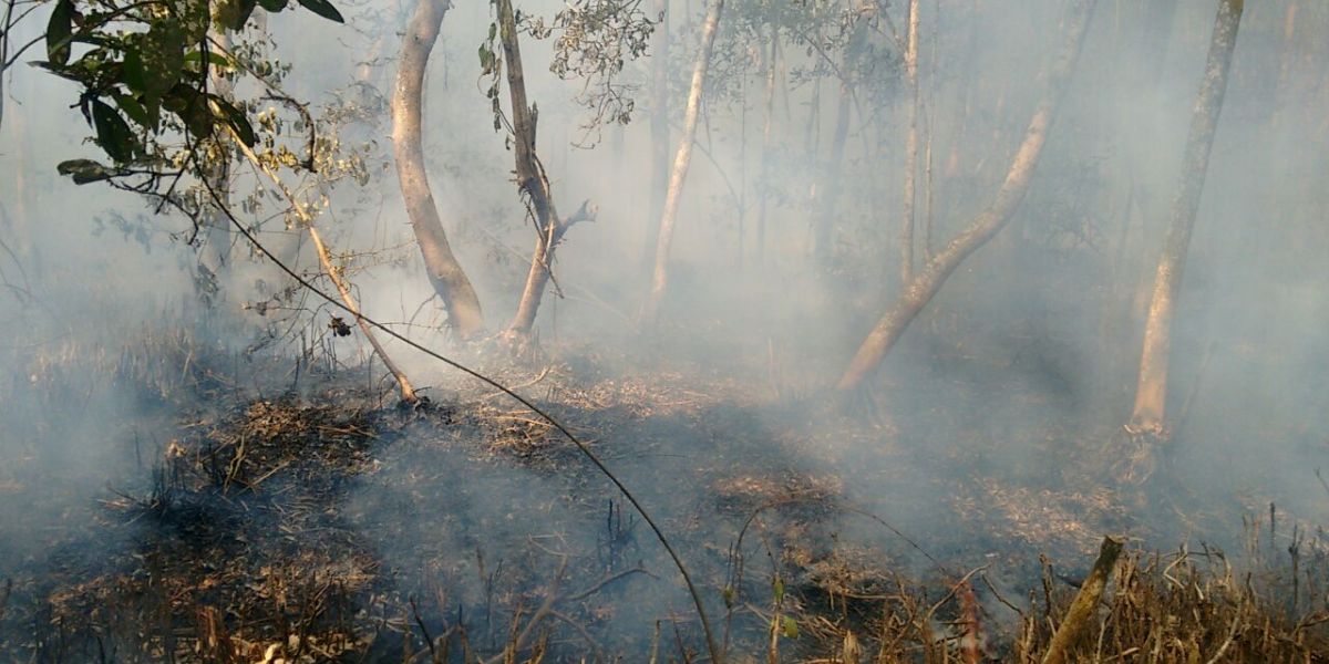 Parques Nacionales Naturales de Colombia. El incendio al parecer fue ocasionado por cazadores.