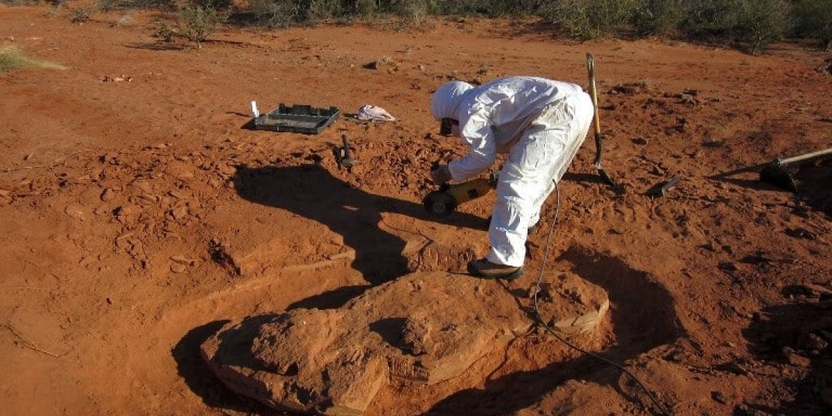 AFP Lugar del descubrimiento de los restos del dinosaurio.