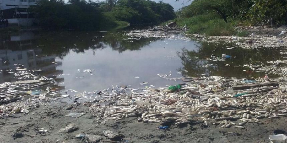 Así se observa la desembocadura del Río Manzanares.