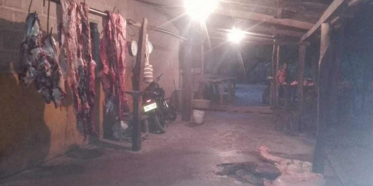 Policía Matadero ilegal en Algarrobo, Magdalena.