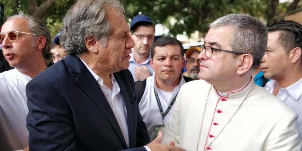 El secretario general de la Organización de Estados Americanos (OEA), Luis Almagro.