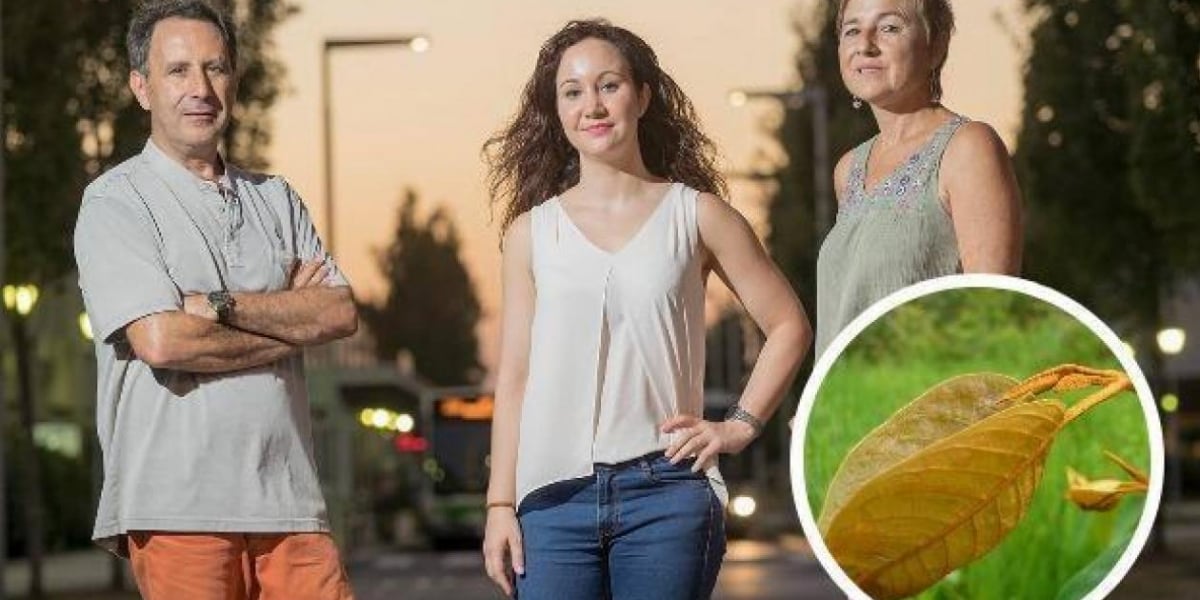 El Comercio.  José Ignacio Ruiz-Sanz, Jenifer Trepiana y M. Begoña Ruiz-Larrea, los investigadores.