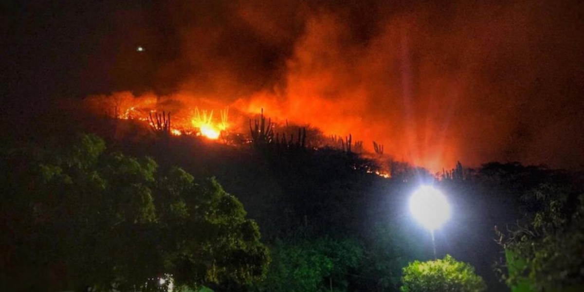 Bomberos Santa Marta Imagen del incendio forestal en el Rodadero, del pasado lunes.