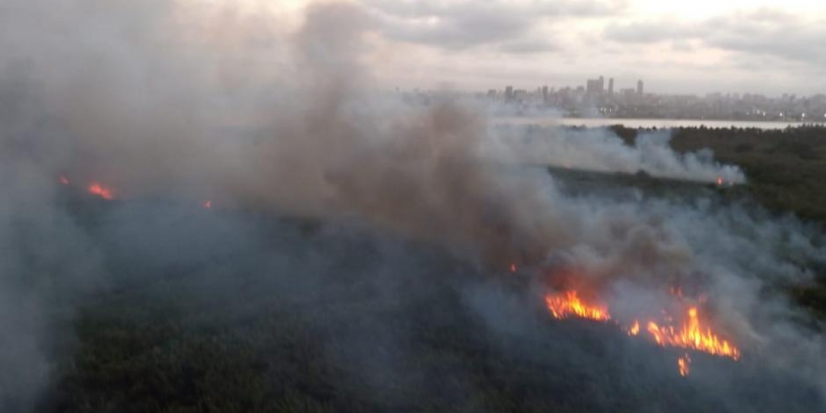 Zona Cero Incendio en el Vía Parque Isla Salamanca
