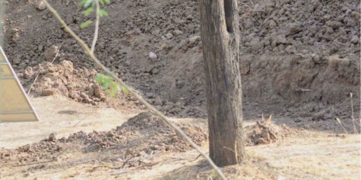 Cortesía Foto en la que aparece camuflado el leopardo.