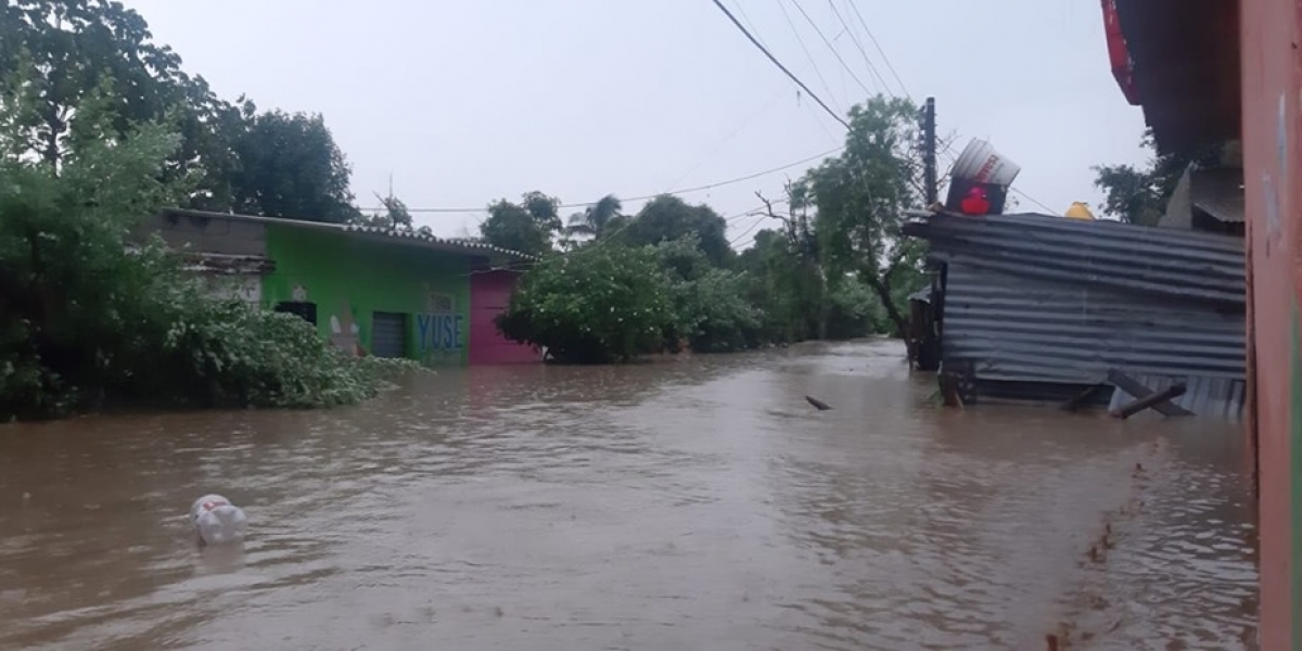 Zona Bananera Al Día