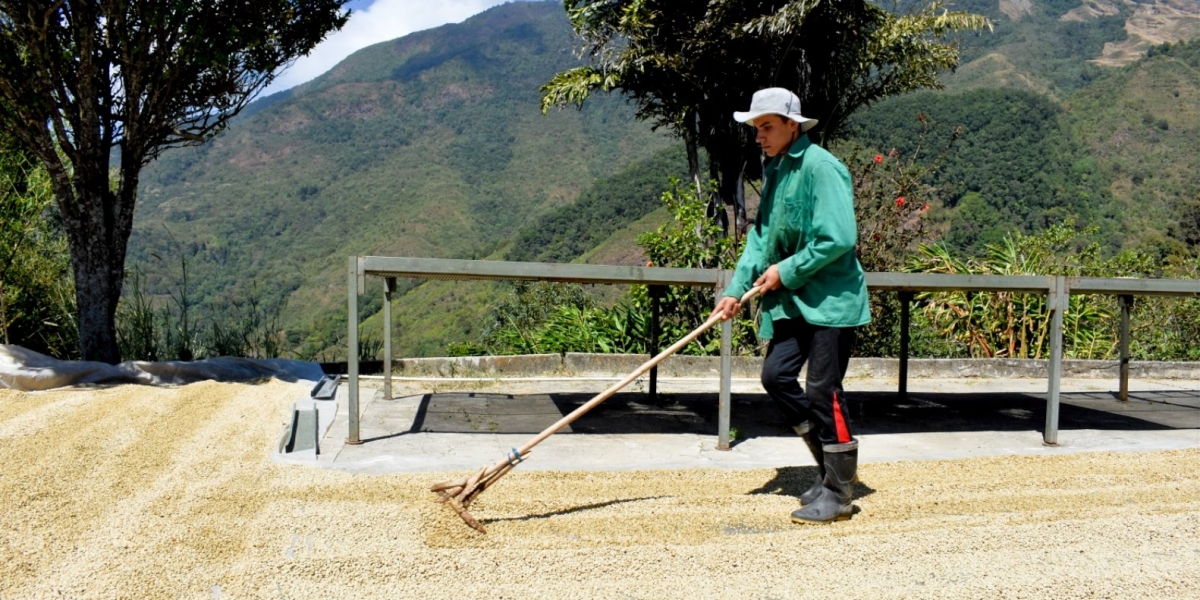 Gobernación del Magdalena Con esta inversión, superior a los 2.160 millones de pesos, se logrará favorecer a 2.954 productores de 19 municipios del Magdalena.