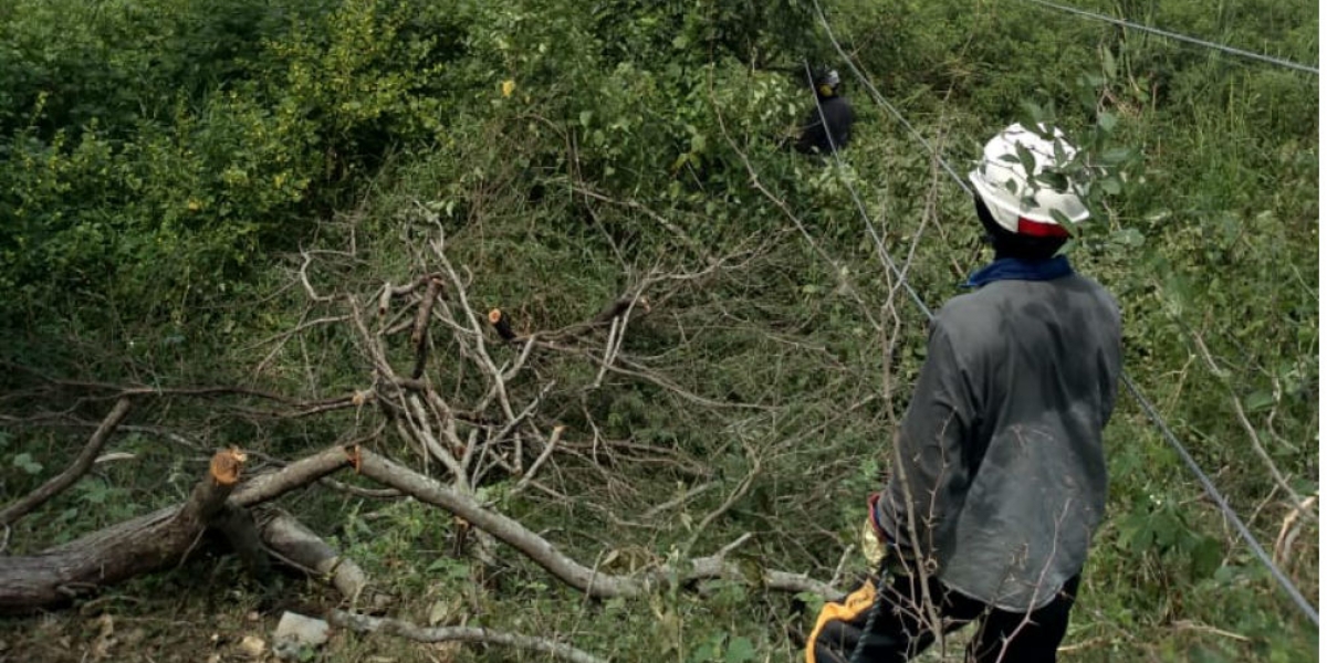 Electricaribe El robo de cables se ha registrado en la zona rural de Cerro de San Antonio.