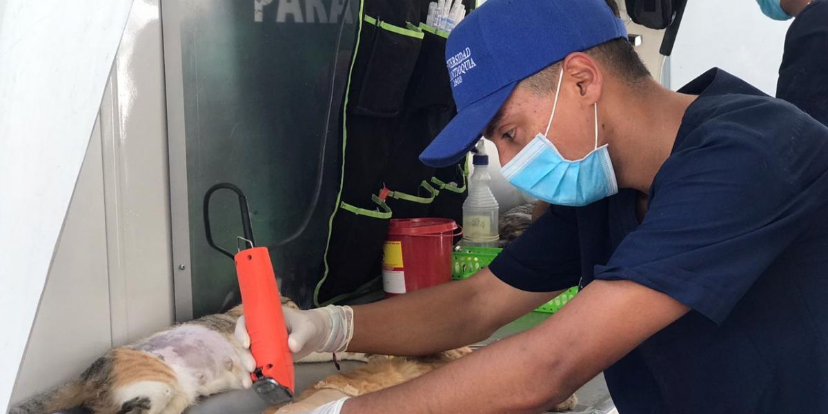 Cortesía Jornada de Esterilización
