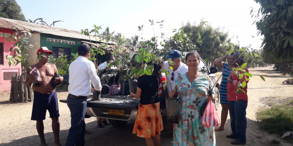 Entrega de árboles frutales en el Magdalena