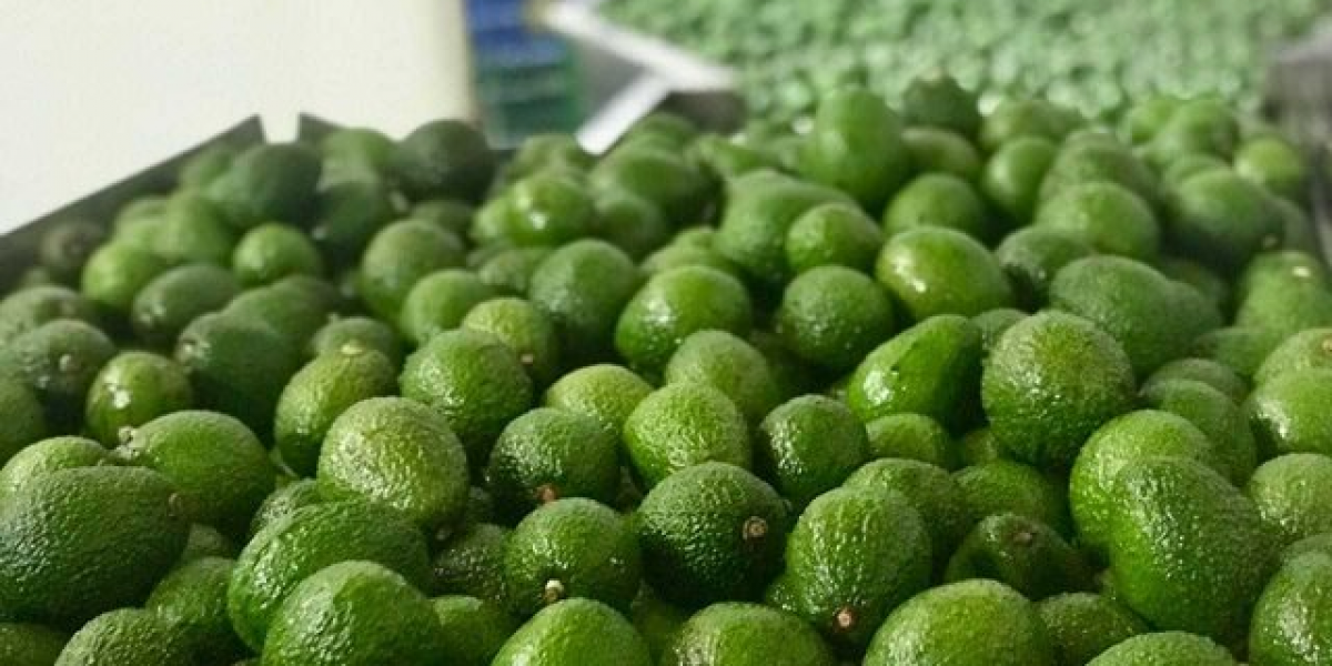 ICA En Colombia se producen 148.429 toneladas de aguacate Hass.