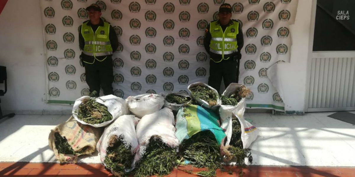 Policía Marihuana erradicada en Palmor.