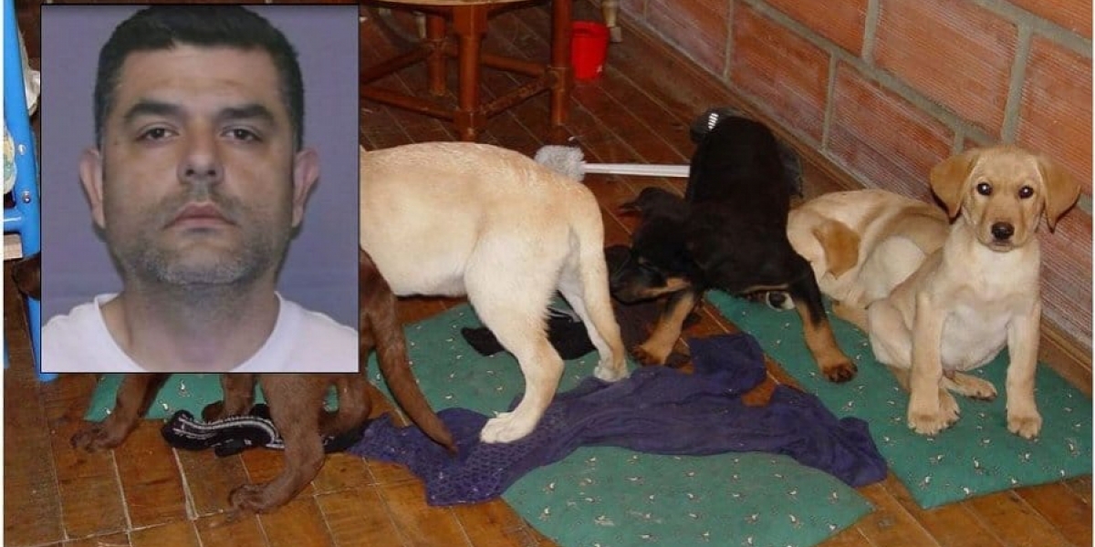 Captura de pantalla Noticias Caracol Andrés López Elorza, veterinario encarcelado.