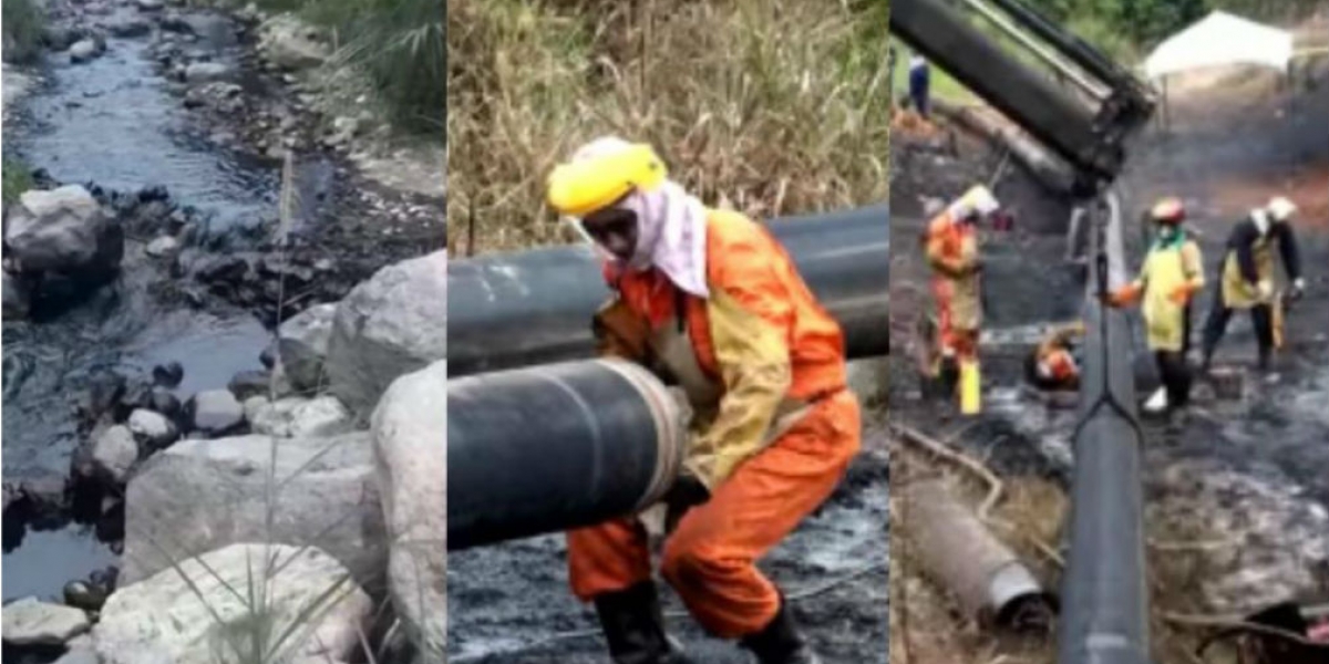 Cortesía Captura de pantalla.
