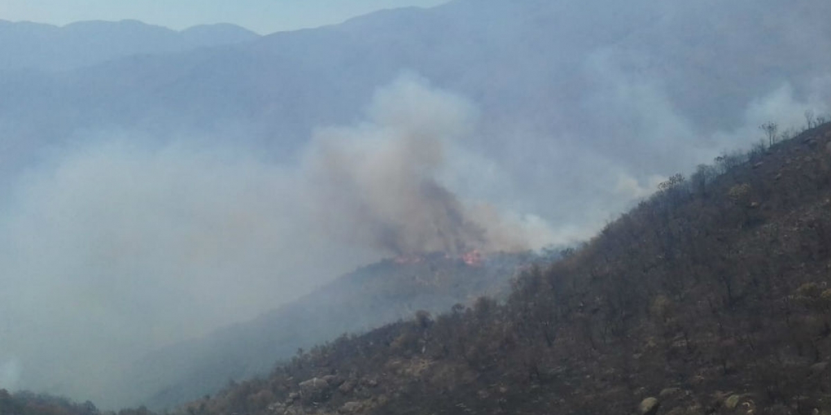 Alejandro Arias Incendio en la Sierra Nevada.