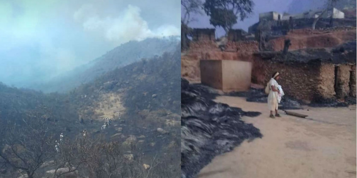 Las llamas han arrasado flora, fauna y pueblos indígenas en la Sierra.