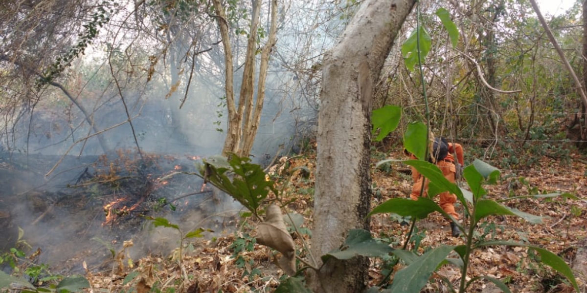Seguimiento.co- Archivo La brisa propagó rápidamente el fuego y las llamas acabaron con la vida de Johana Patricia.